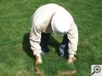 Restoring the landscaping by replacing removed sod on the ground for a Cordova home.