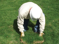 Restoring the landscaping by replacing removed lawn sections for a Jber home.